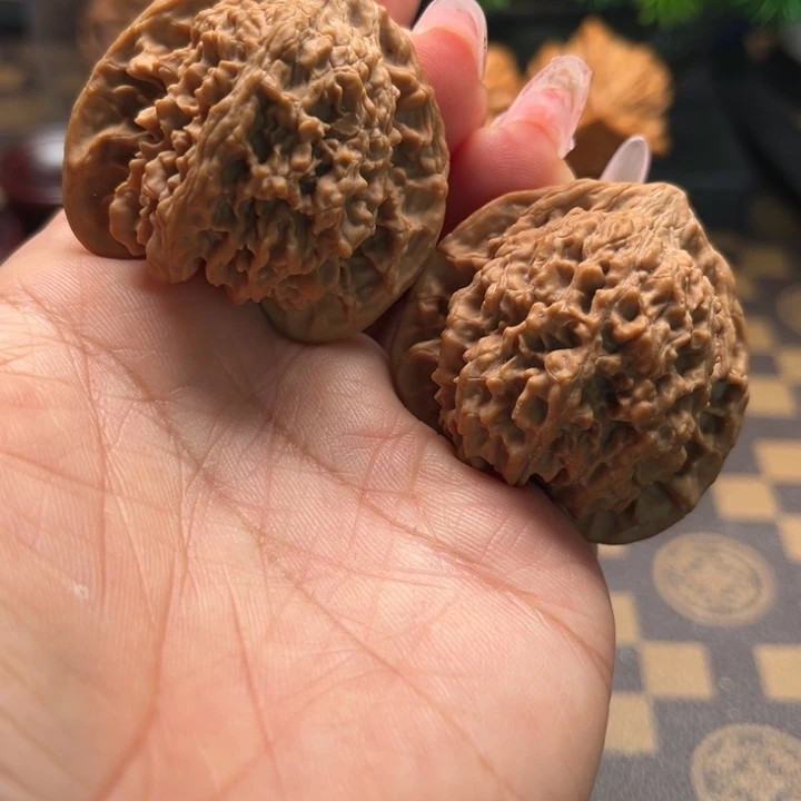 核桃42满天星文玩