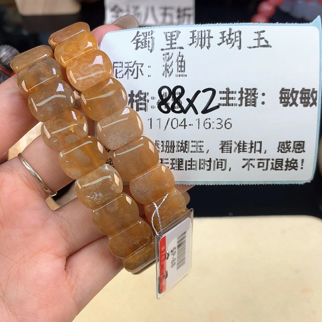 【闪购商品】颈饰未镶嵌硅化珊瑚（珊瑚玉）彩*