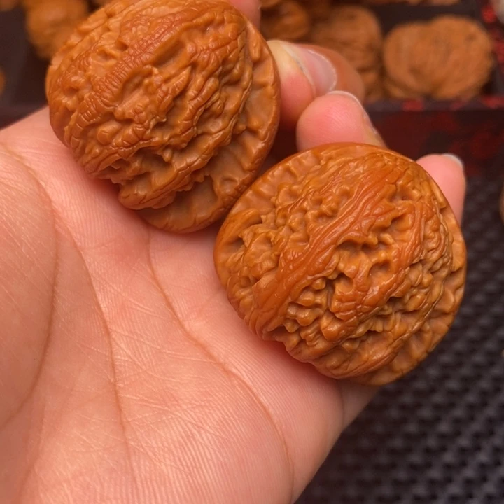 秦岭野生1111111111111