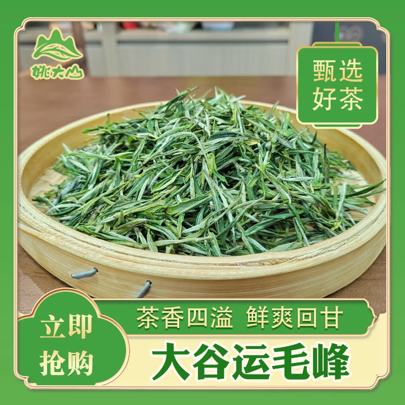 【姚大山】大谷运毛峰茶叶  特级