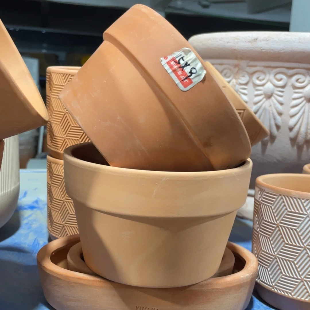 口15×9     红陶矮盆发2