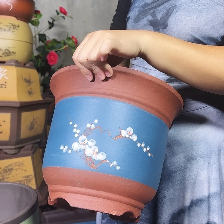 27+27蓝金钟点菜花盆花盆