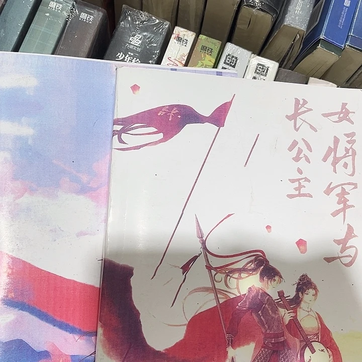 女将军与长公主全新两本未删减