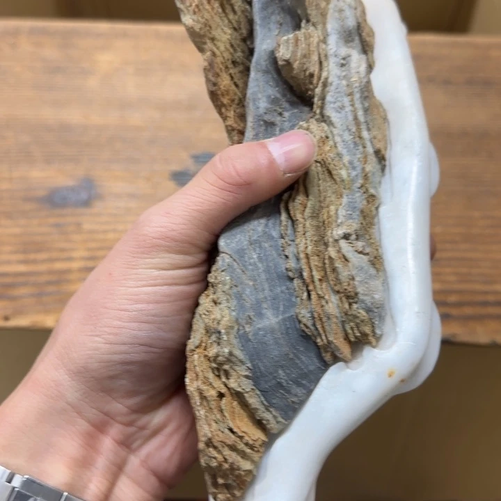 时*哈哈哈哈哈哈哈和哈哈