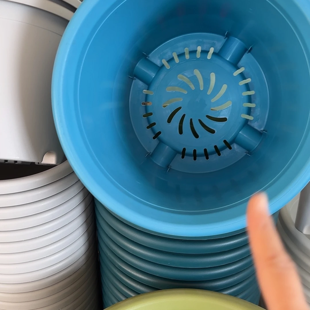 树脂四季6号无托7个湖蓝色