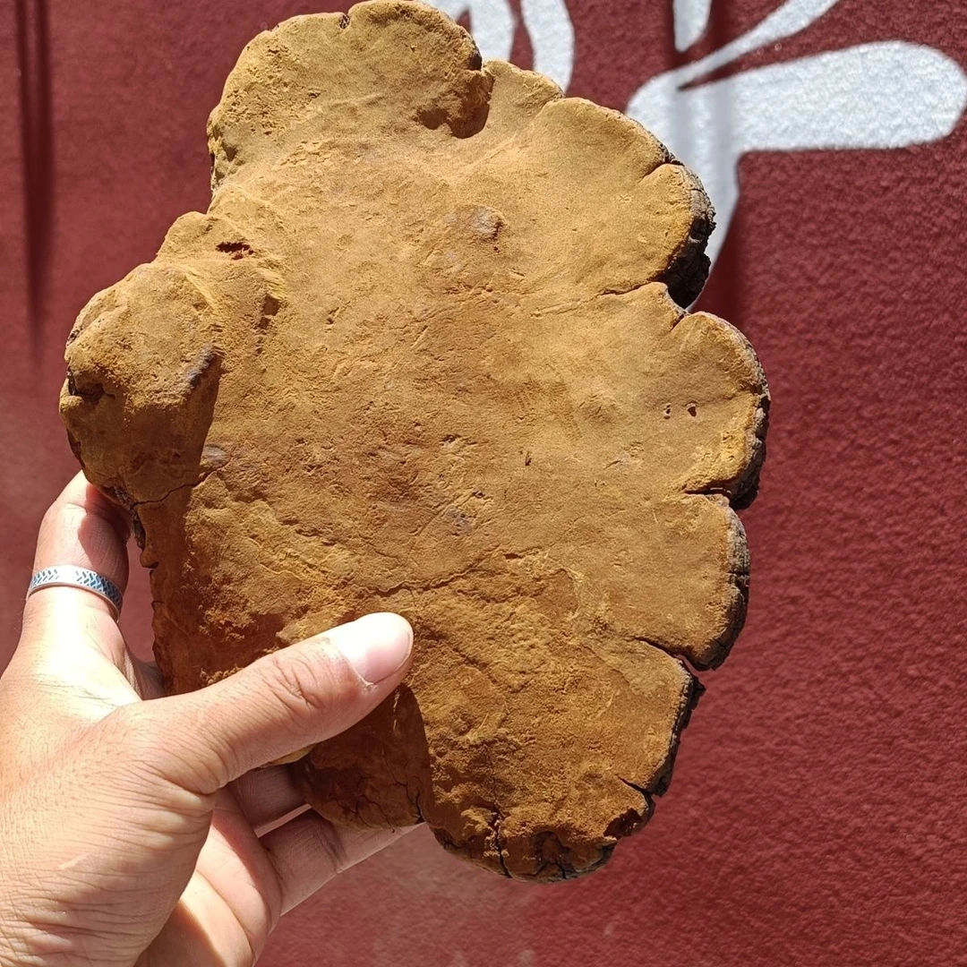 云南山货珍品 【嗓 ~ 煌茶】泡水喝~莲子