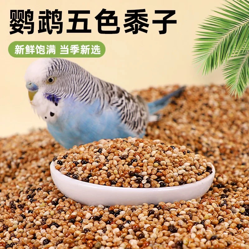 五色黍子鸟粮牡丹虎皮鹦鹉混合种子饲料玄凤专用带壳谷子鹦鹉活宠