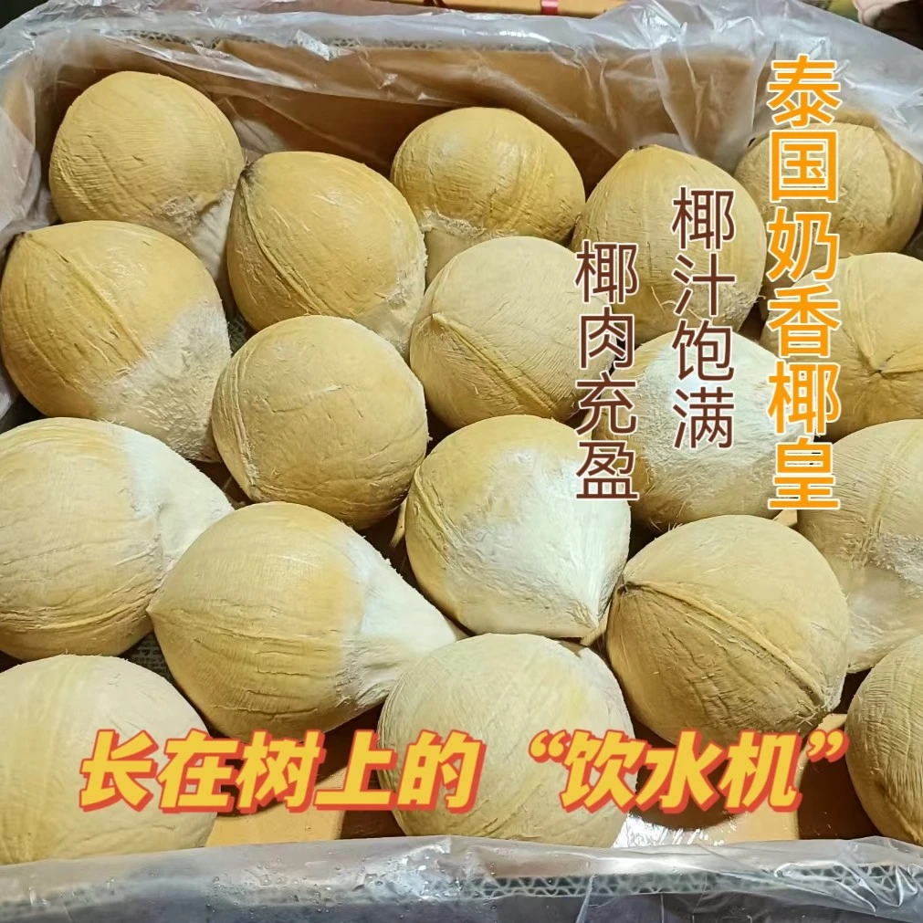 品牌泰国老树大椰皇丹嫩沙多牛奶椰皇5/8颗装单果（550-750g）椰青水果香甜可口新鲜