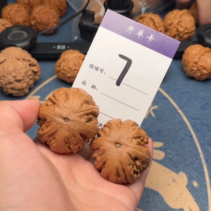 吊坠文玩核桃杰****意霸王龙 40全品 7