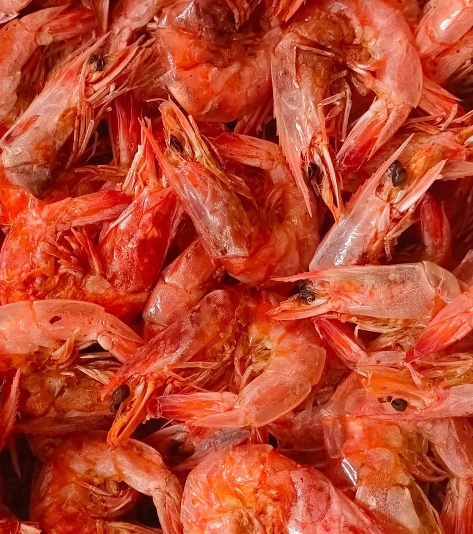 25年渤海湾九成干即食烤虾干 老人 孩子都能吃