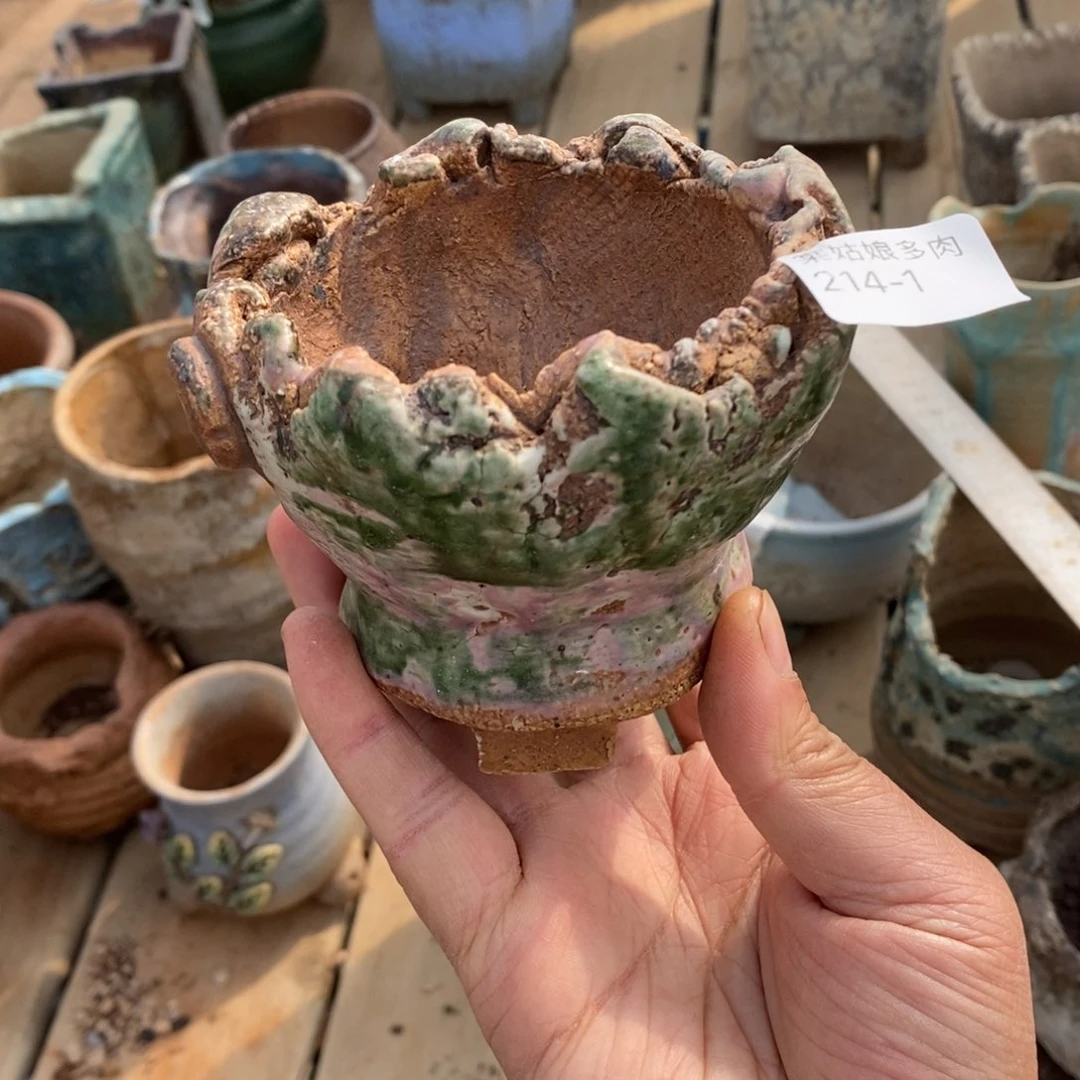 1号8*8厘米一个多肉盆