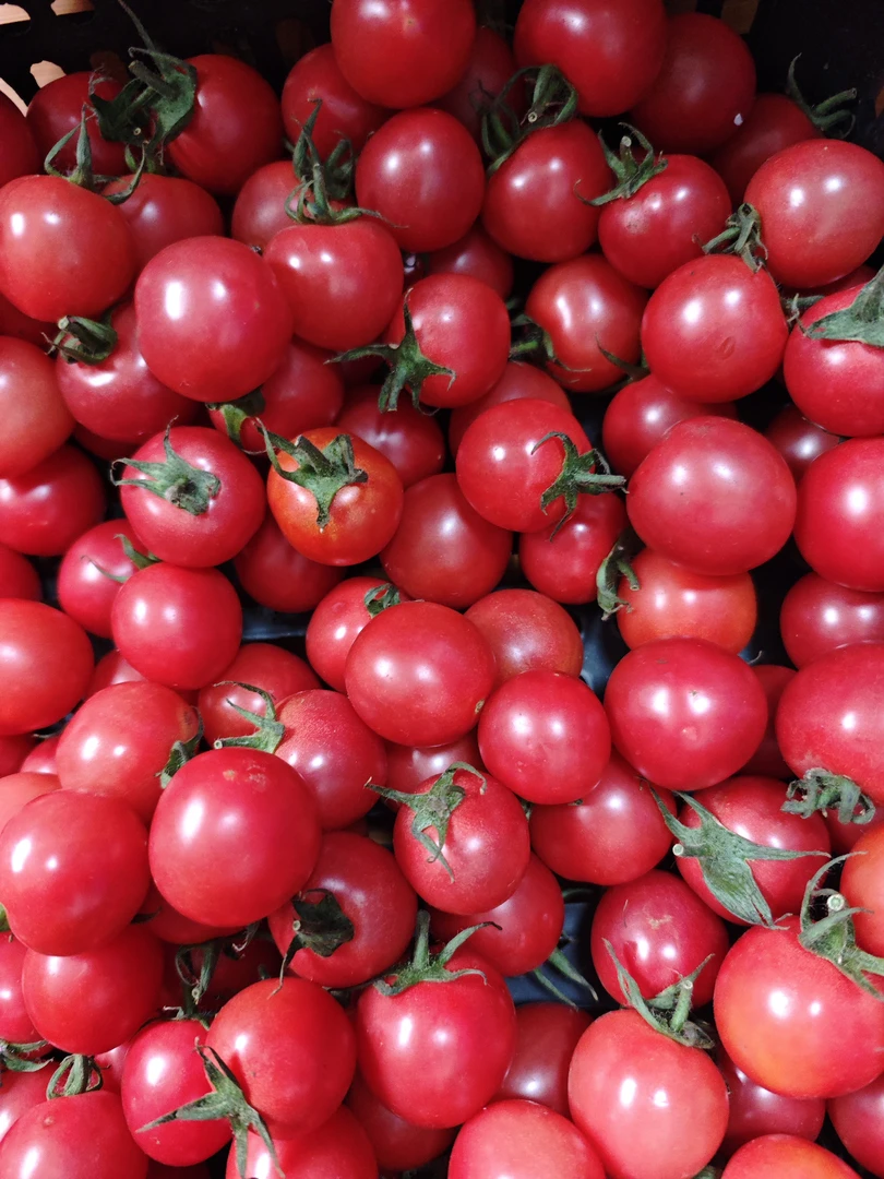 彩色小西红柿新鲜美味多汁酸甜可口3斤