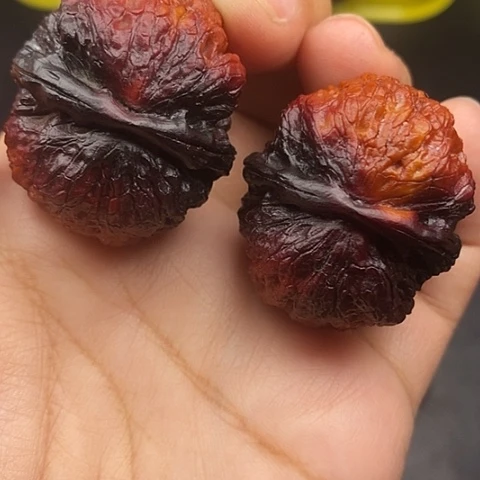 文玩核桃把件38尺七彩狮子