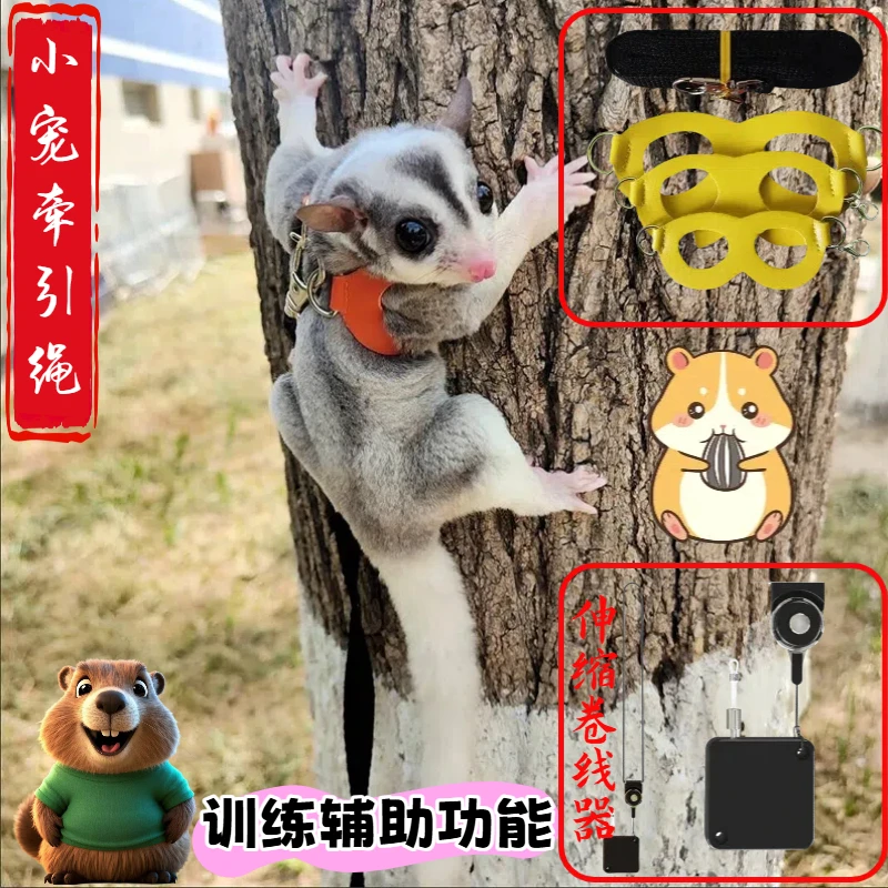 松鼠蜜袋鼯牵引绳强承重防脱可伸缩调节宠物外出安全绳