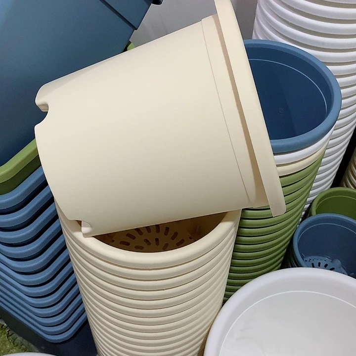 四季口22高20米黄3个无托