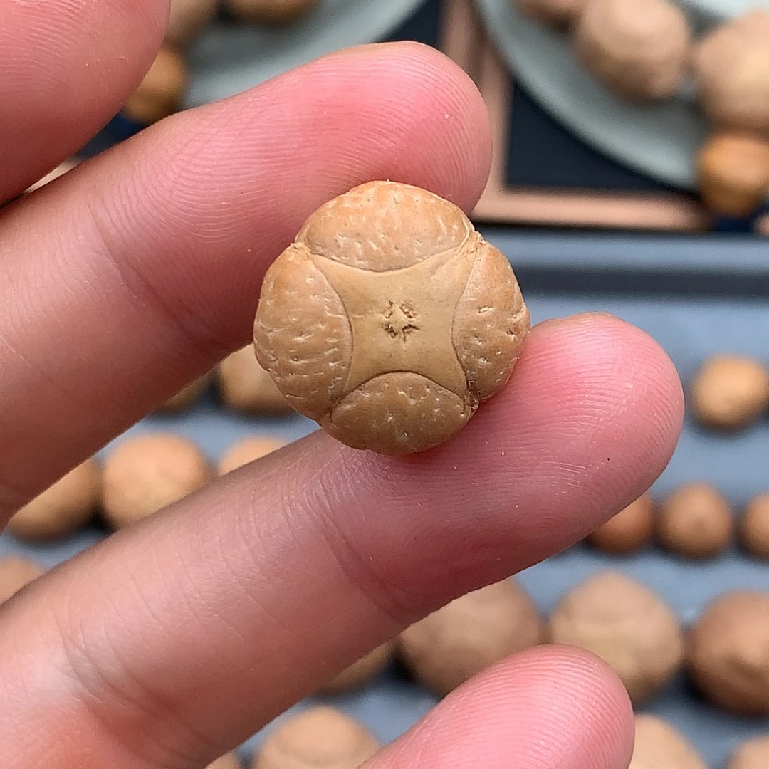 凤眼菩提吊坠说****呢18麒麟、非质量问题开孔不退