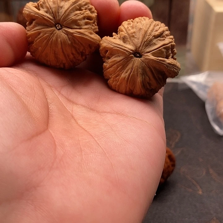 文玩核桃把件蛟龙（点修）
