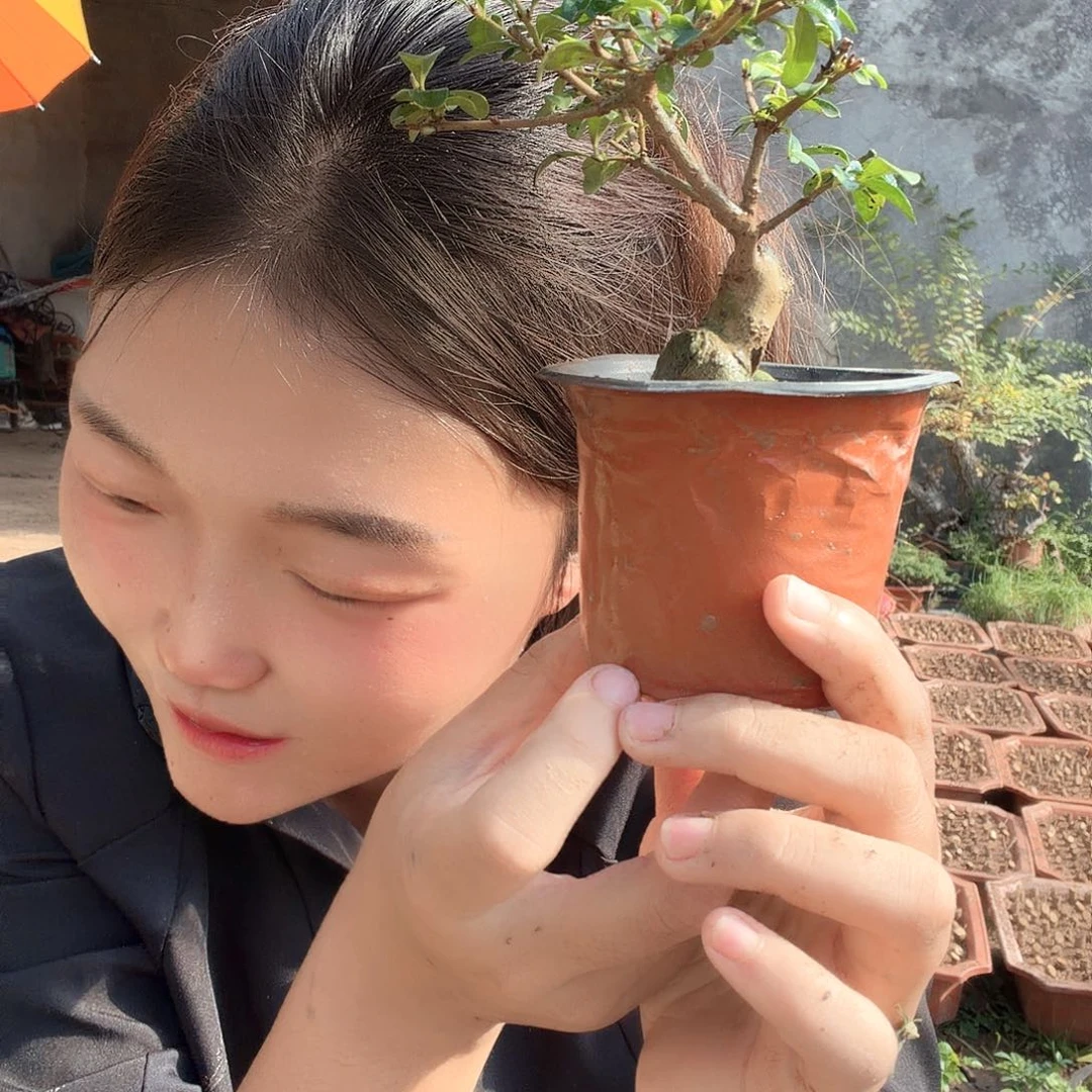 世***埃无花朵你弗格尼尼火锅