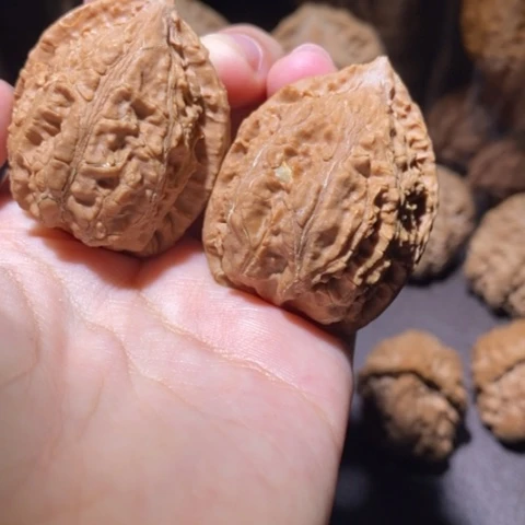 把件文玩核桃东北野生楸子小园 178