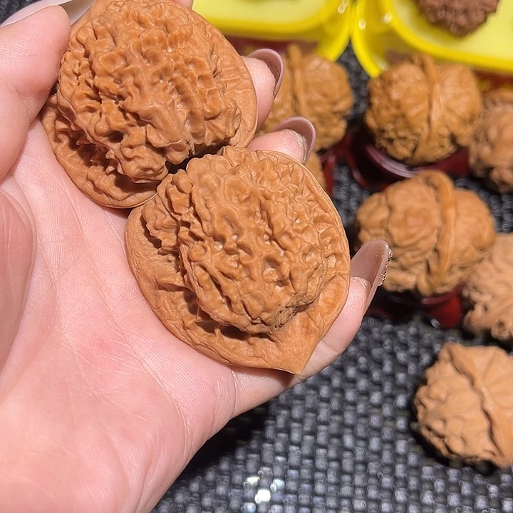 大叶紫檀（黑酸枝木类）