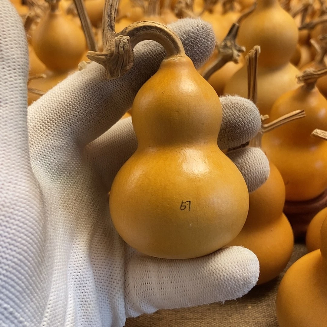 文玩葫芦 完美主义者 慎拍57