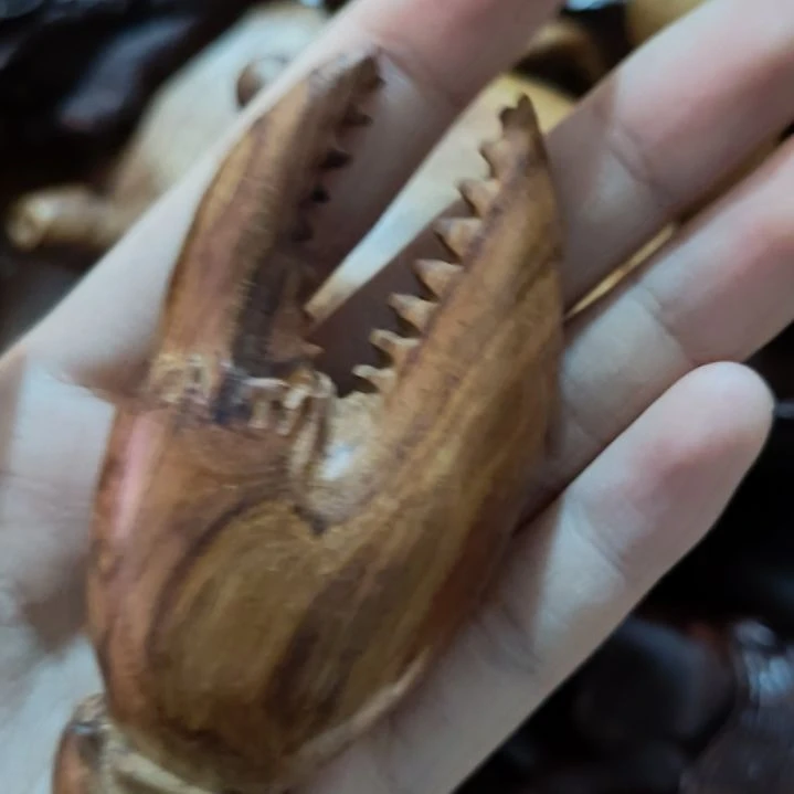 檀香紫檀（小叶紫檀）海南黄花梨