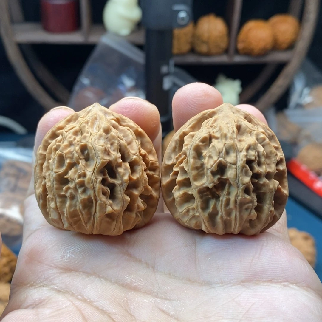 文玩核桃把件37+38九龙筋