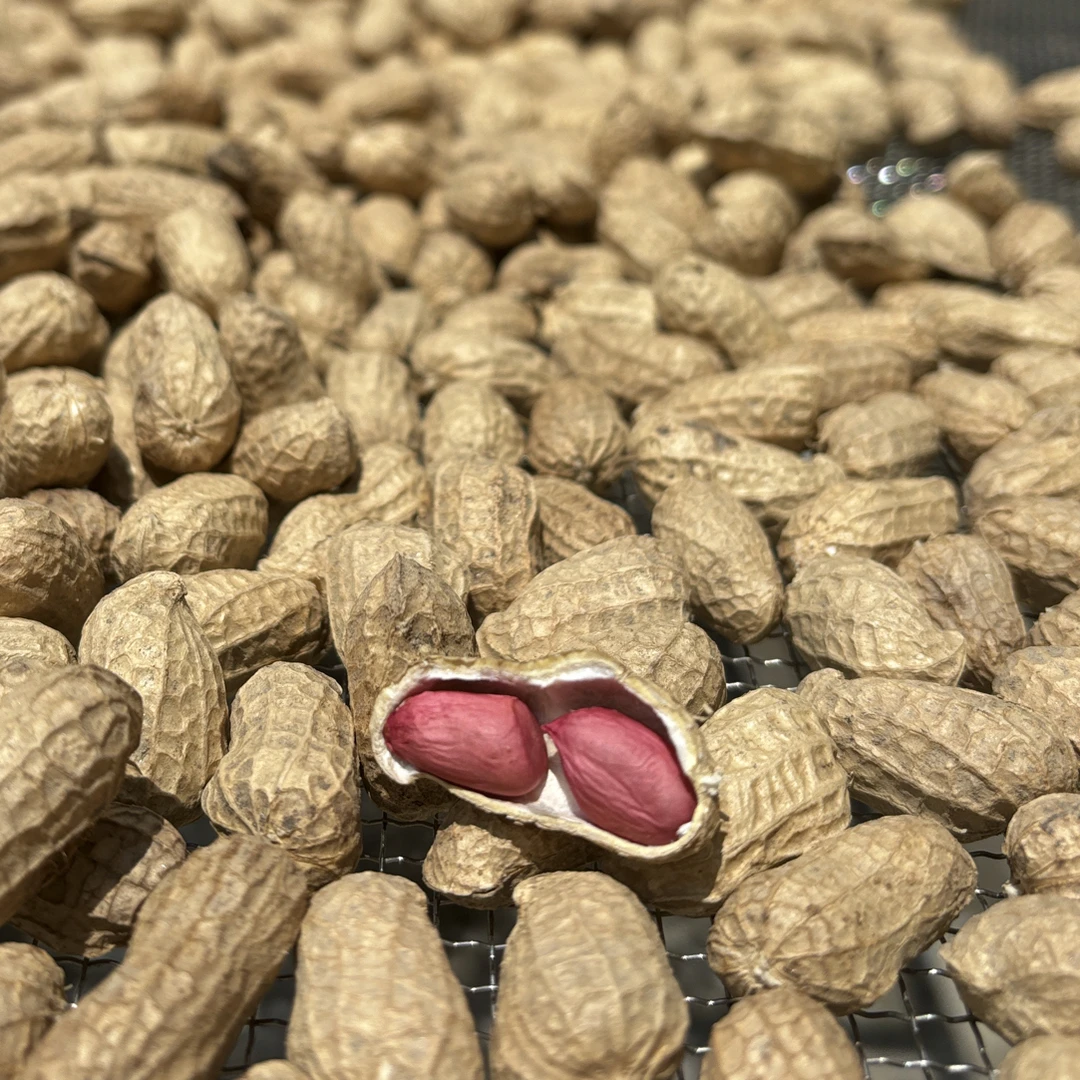 安福农家红皮干花生