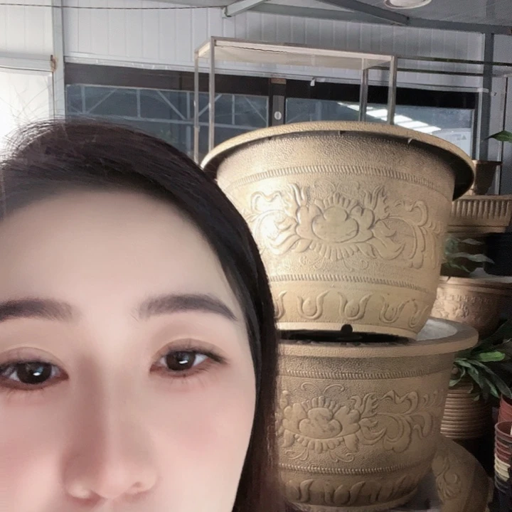 圆83口径花盆两个