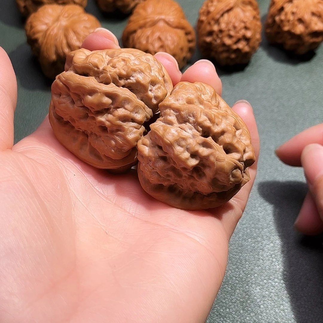 核桃涞水山地果蛤莫头42尺