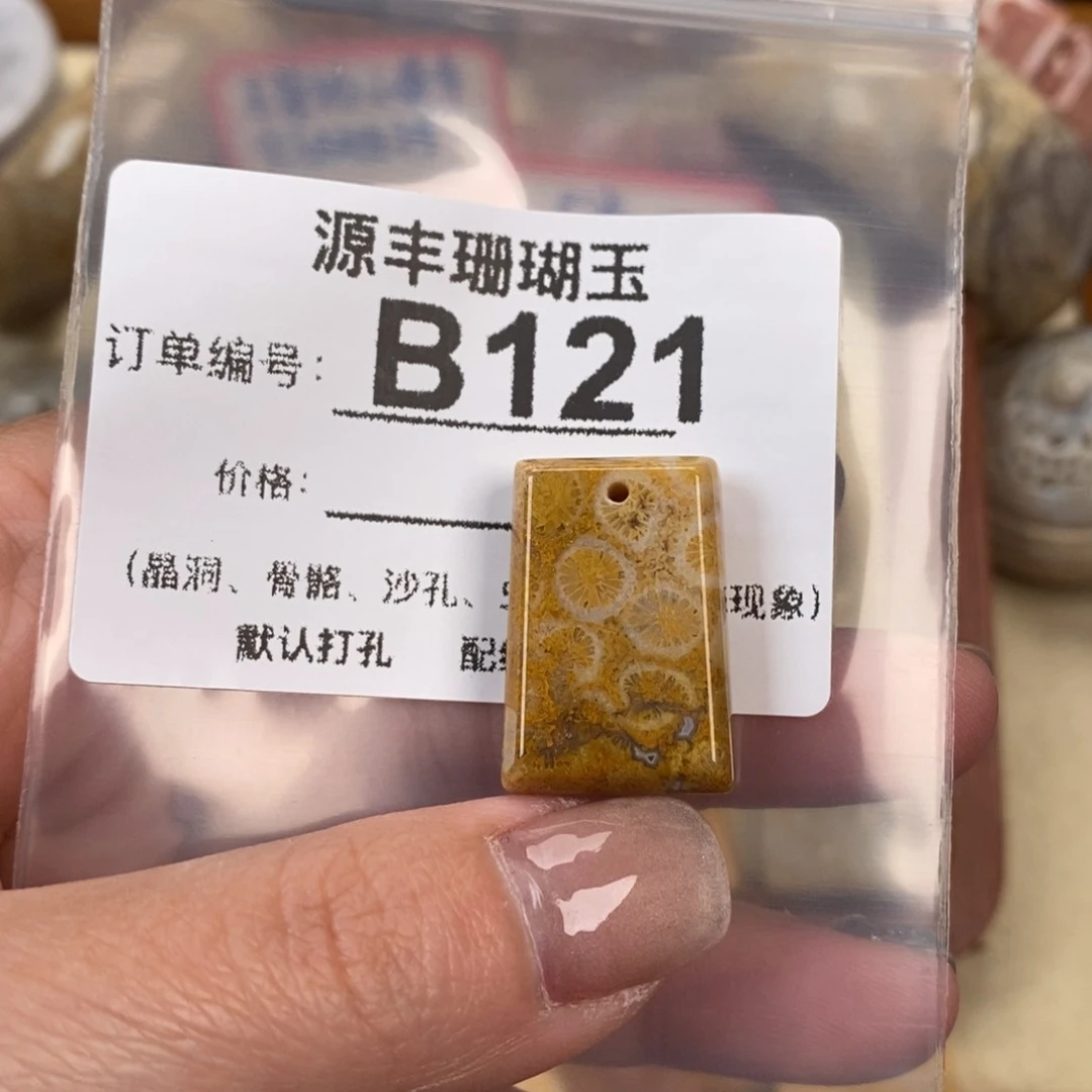 硅化玉颈饰未镶嵌一*黎
