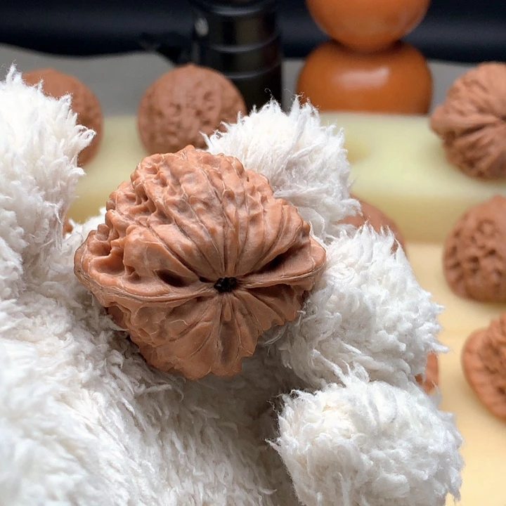 把件文玩核桃龙首蛙