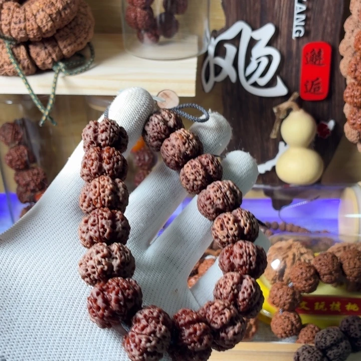 不***_金刚菩提手串21龙脊