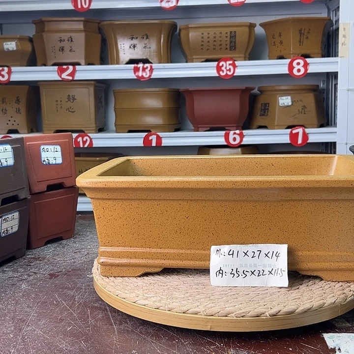 紫砂花盆蛇年大吉