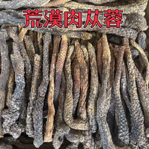 内蒙古阿拉善肉苁蓉秋冬季节采挖沙漠人参可泡酒泡水炖汤整根发货