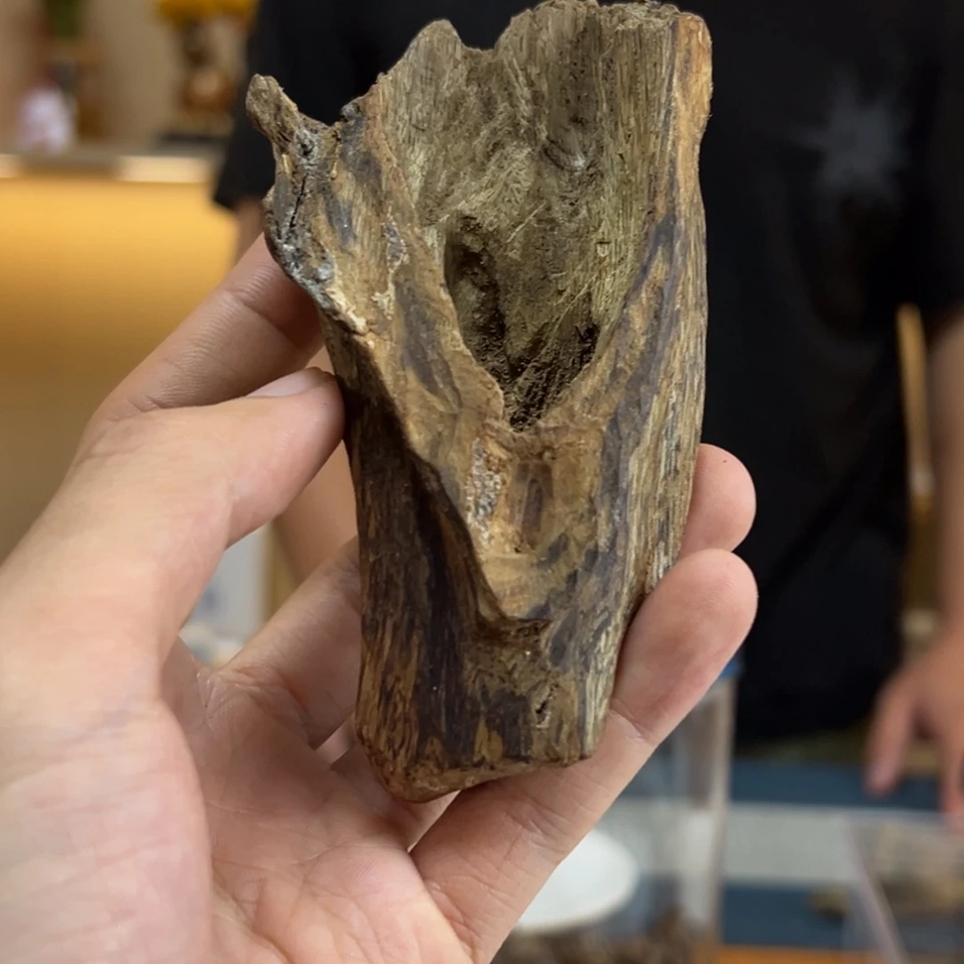 沉香绿奇楠天然壳子43克