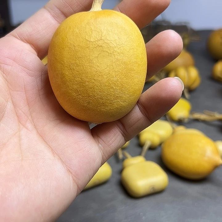 小***盆小夹扁小葫芦一物一拍一个