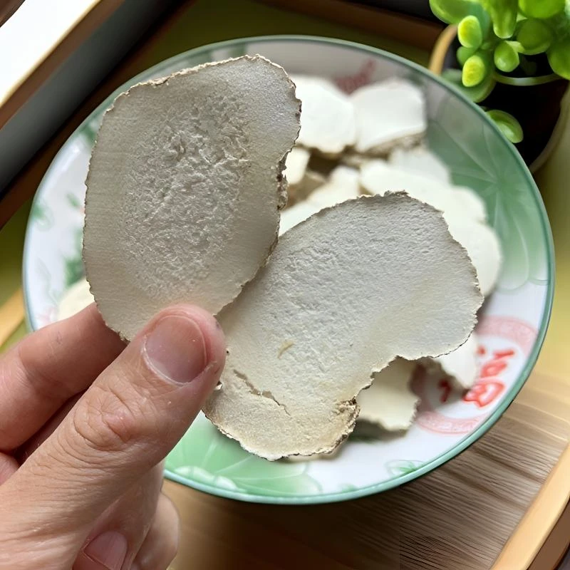 星光靓货精选大号虎乳菌可煲汤煮粥蒸蛋