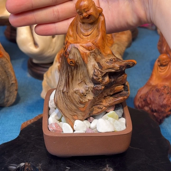 柏木（崖柏）关注一下