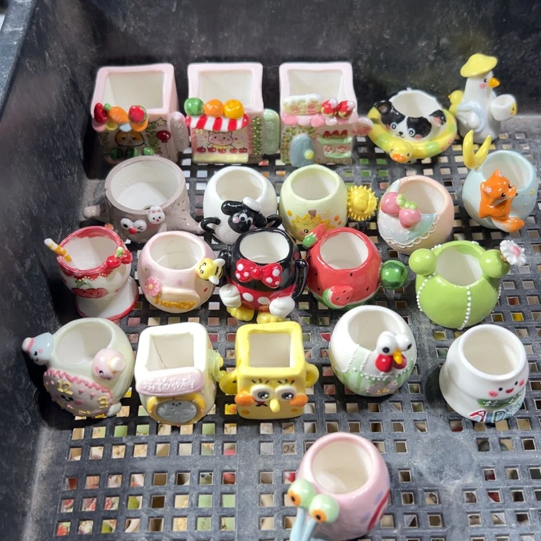 胖***子多肉植物118号一起