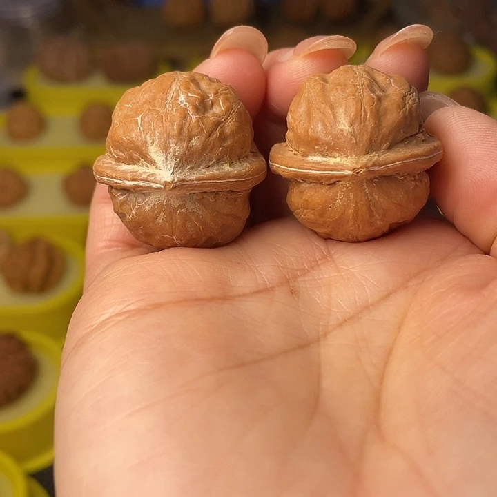 文玩核桃吊坠宽边元宝