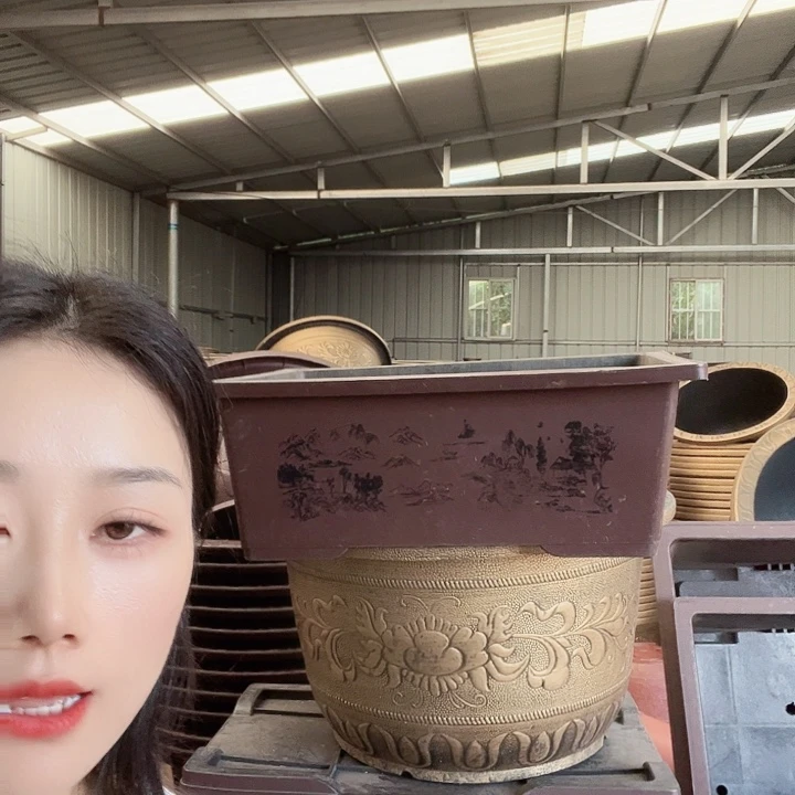 圆83盆一个盆景80盆一个都有孔