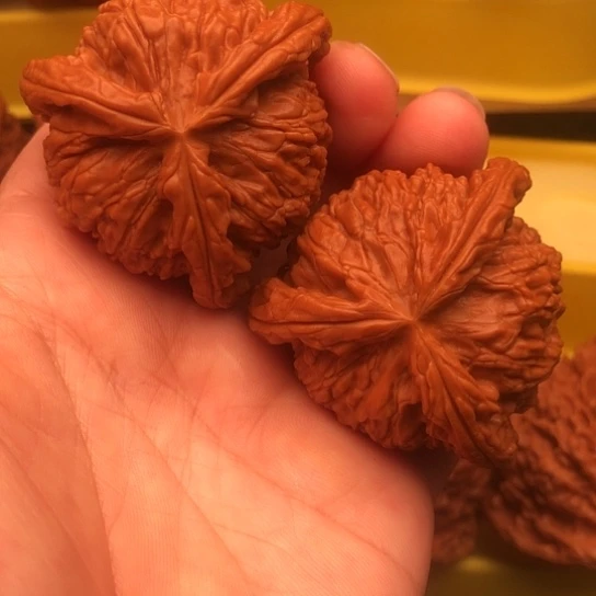 梦***郊核桃核桃核桃核桃