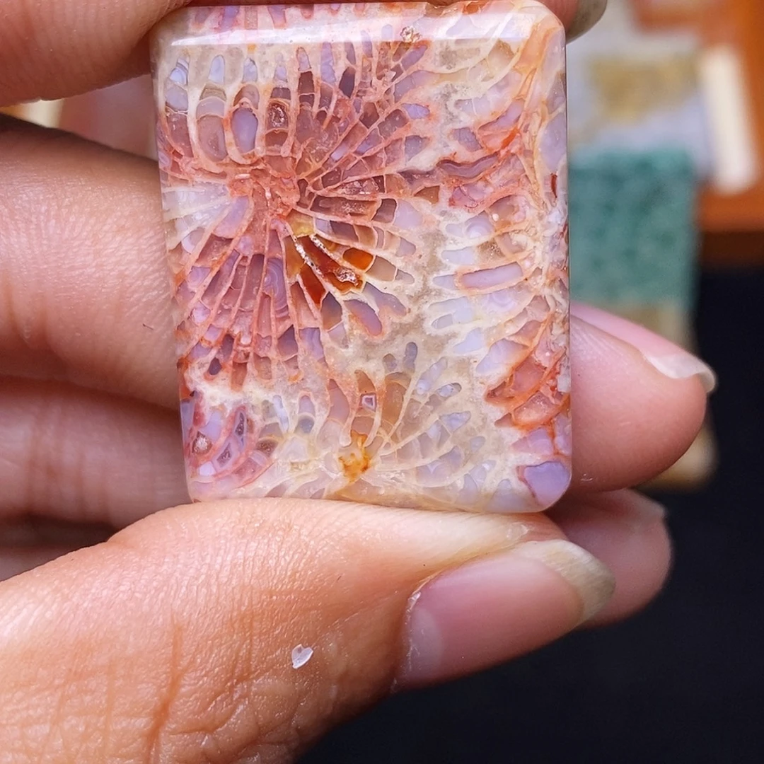 爱****硅化玉合金珊瑚玉