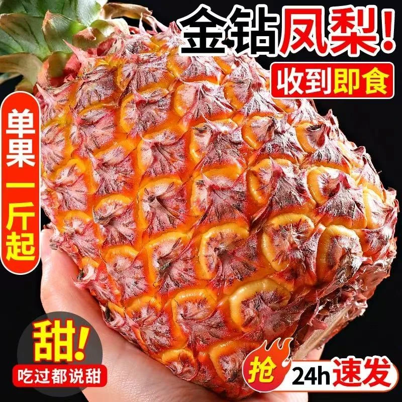 正宗海南金钻手撕凤梨现摘现发自然熟爆甜多汁应季新鲜水果【熙】