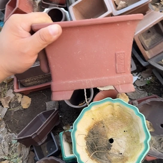 在家里等了你三分钟还等来