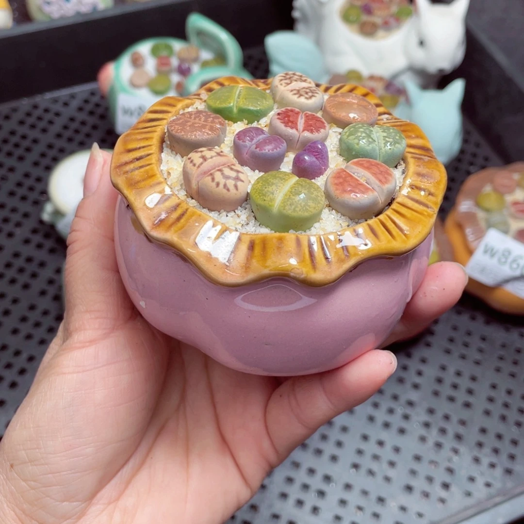 w8609 -零下地区拍保温箱  -15支持寄养