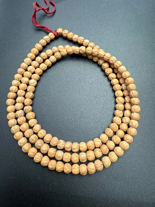 热振一哥《红豆》定制级百香籽