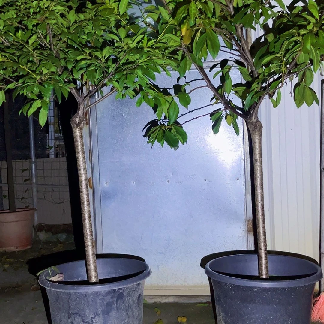 宏***达11111111111111111