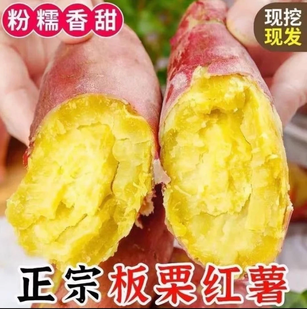 【买3送2到手5斤】红薯新鲜现挖软糯香甜的正宗板栗红薯特好吃A1